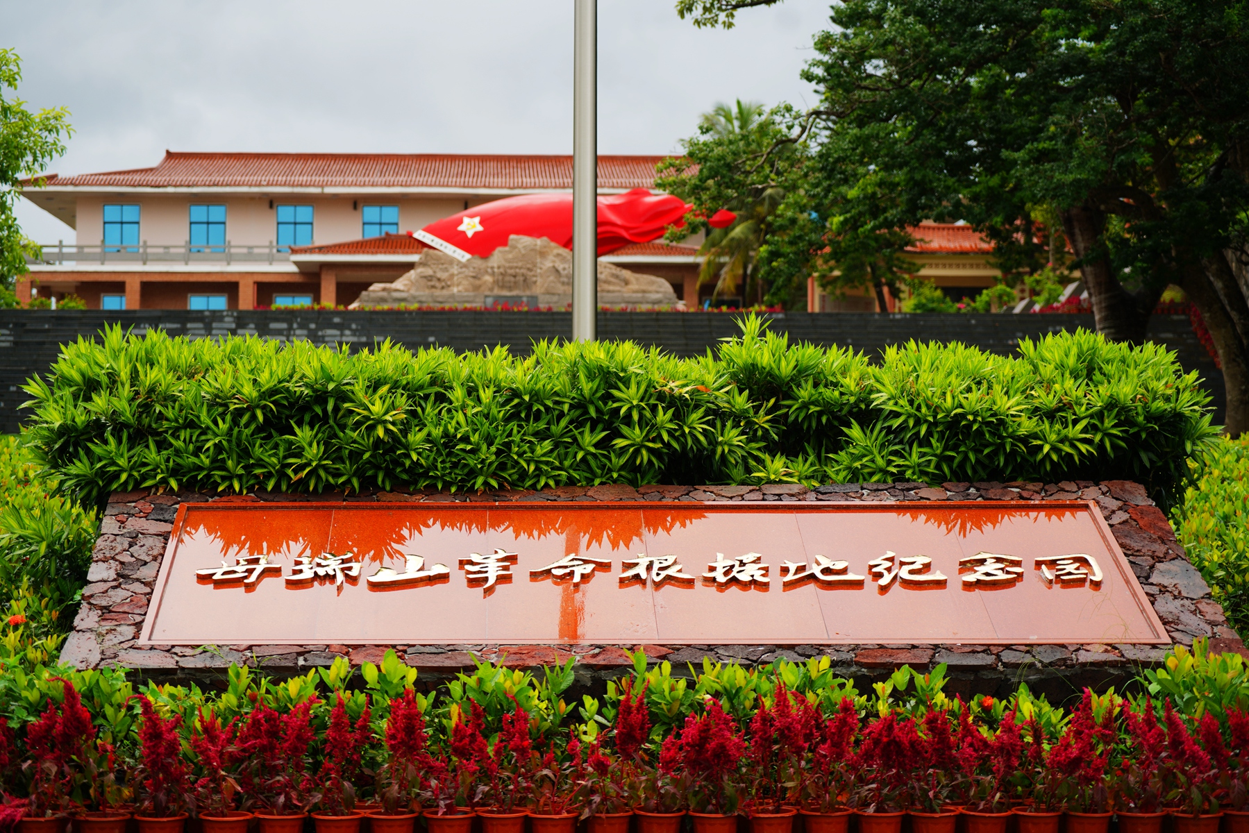 巅峰国际官网-追求康健,你我一起生长