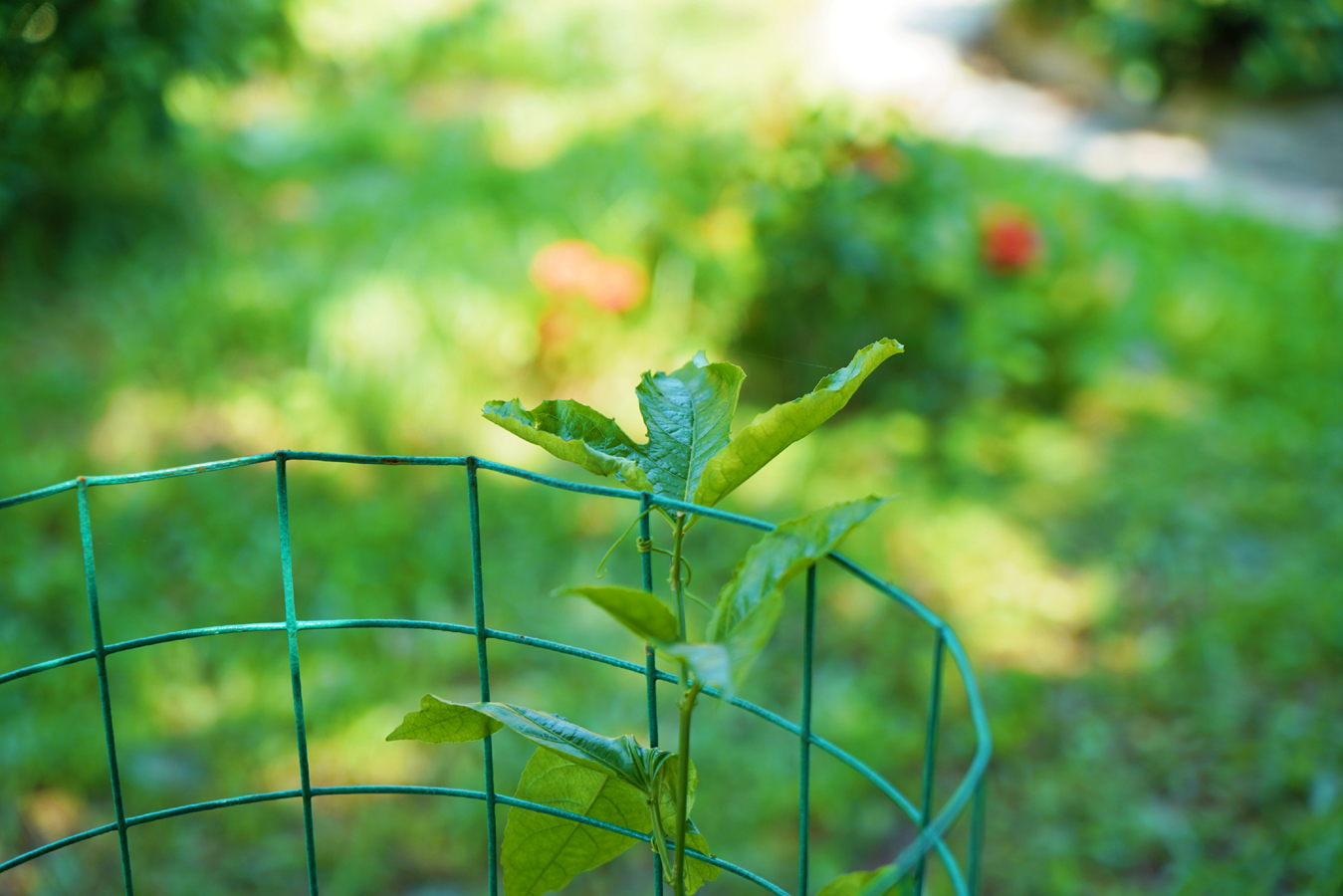 巅峰国际官网-追求康健,你我一起生长