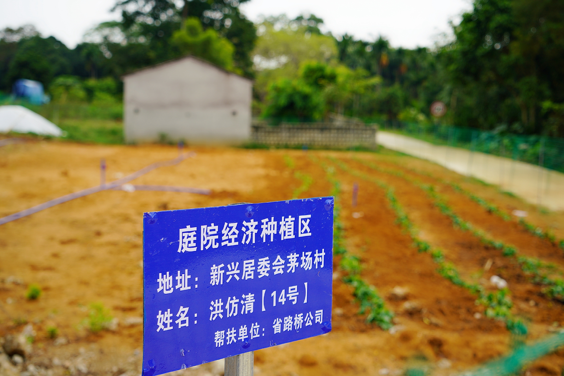 巅峰国际官网-追求康健,你我一起生长