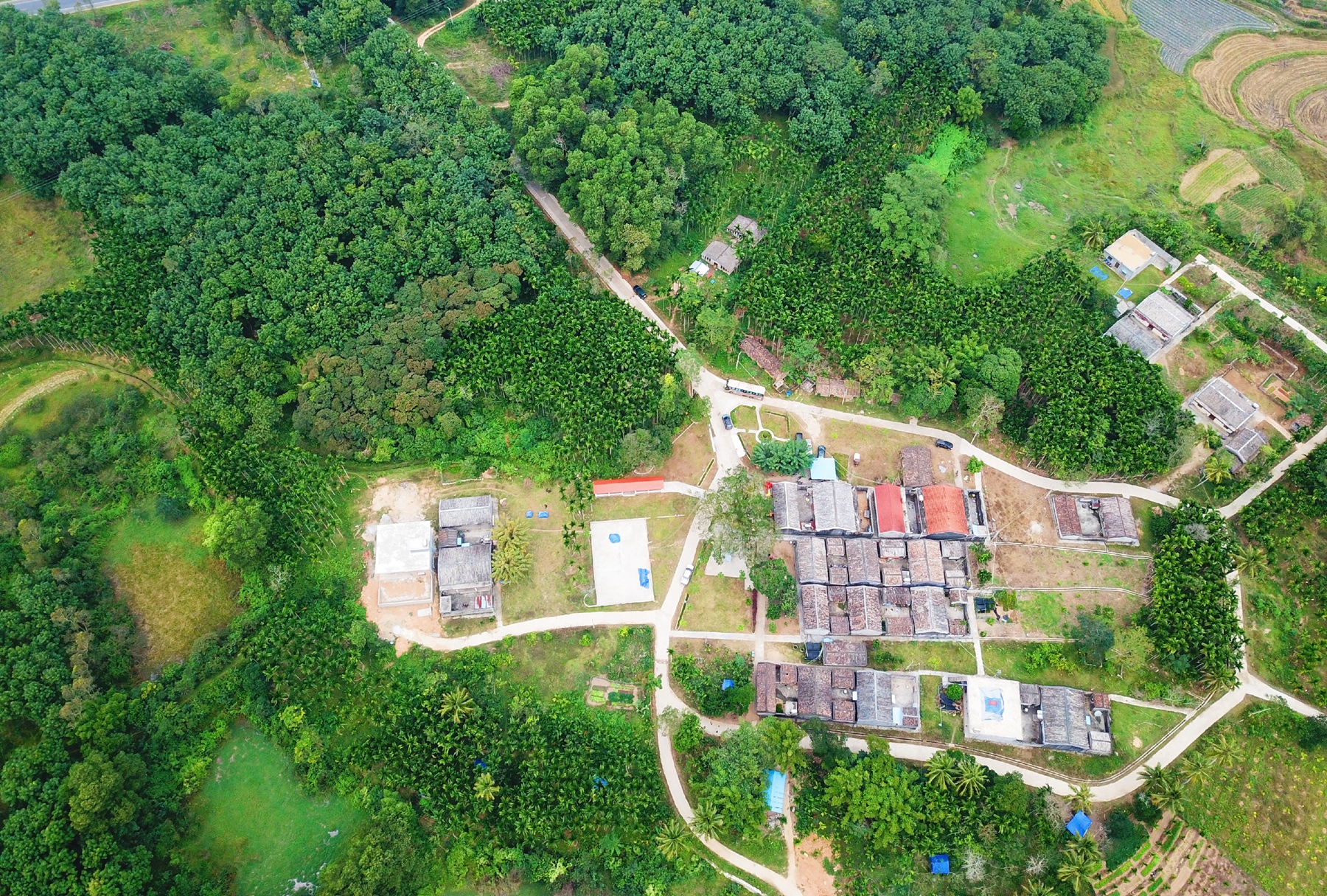 巅峰国际官网-追求康健,你我一起生长