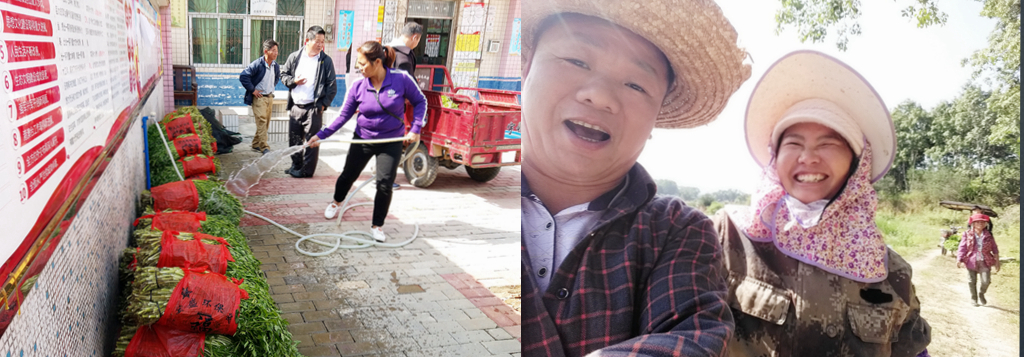 巅峰国际官网-追求康健,你我一起生长