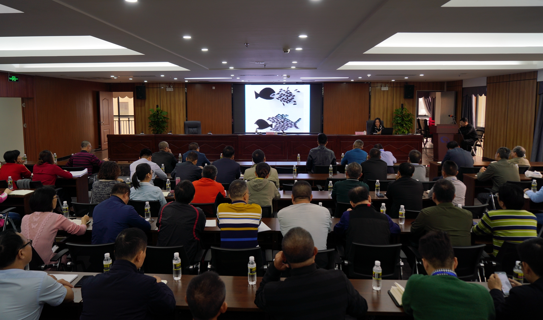 巅峰国际官网-追求康健,你我一起生长