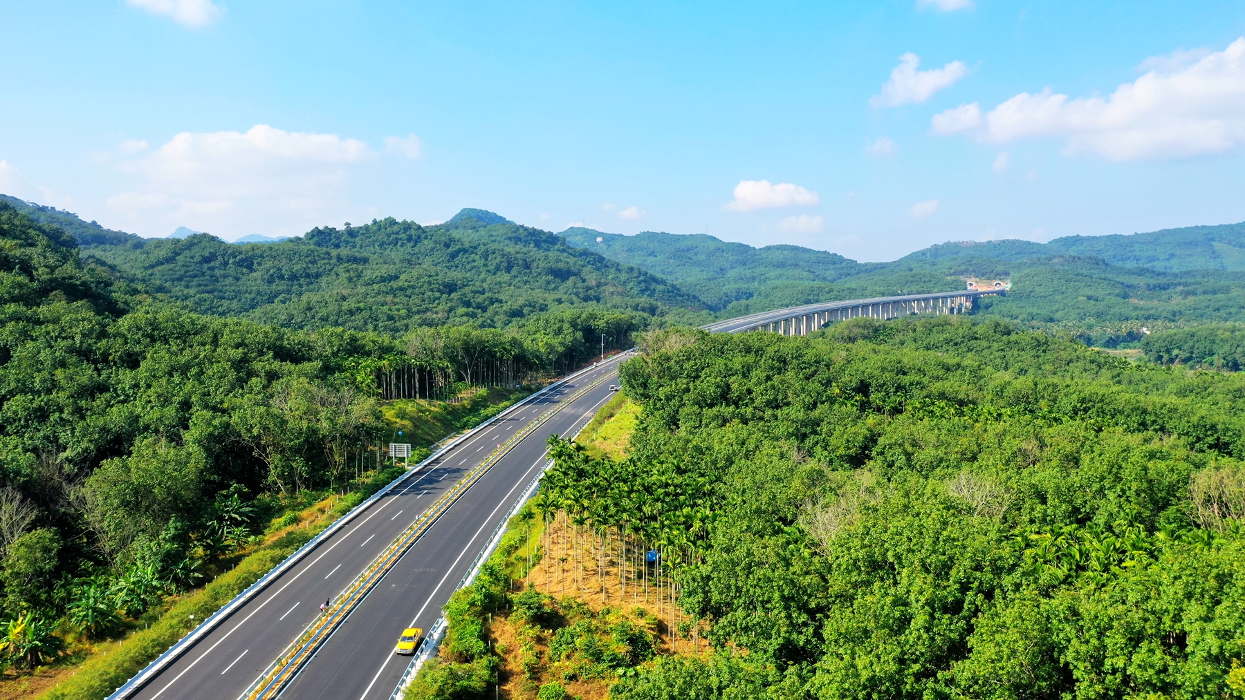 巅峰国际官网-追求康健,你我一起生长