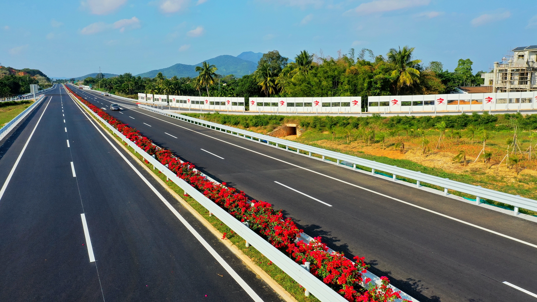 巅峰国际官网-追求康健,你我一起生长