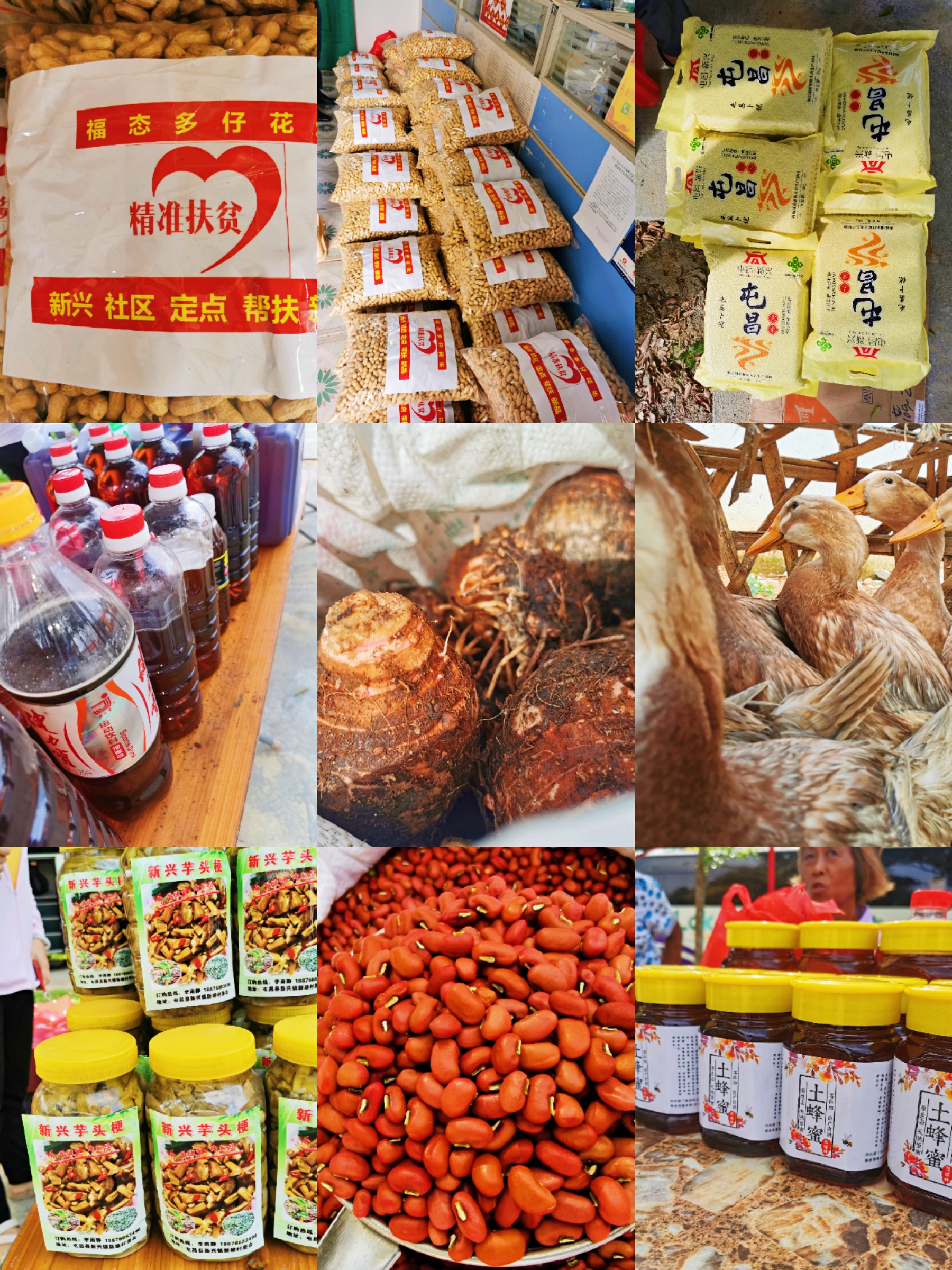 巅峰国际官网-追求康健,你我一起生长