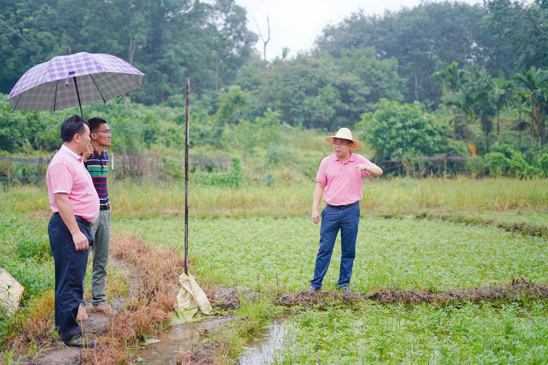 巅峰国际官网-追求康健,你我一起生长