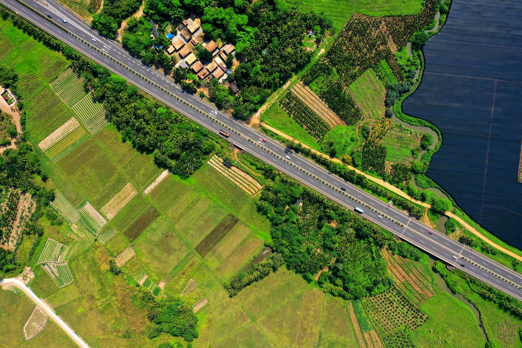 巅峰国际官网-追求康健,你我一起生长