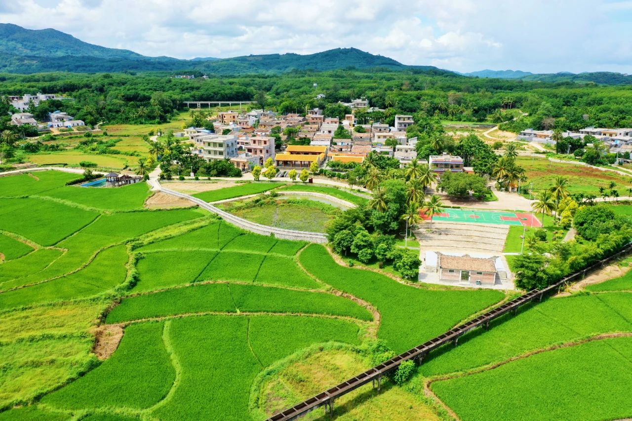 巅峰国际官网-追求康健,你我一起生长