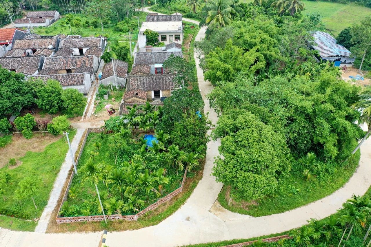 巅峰国际官网-追求康健,你我一起生长