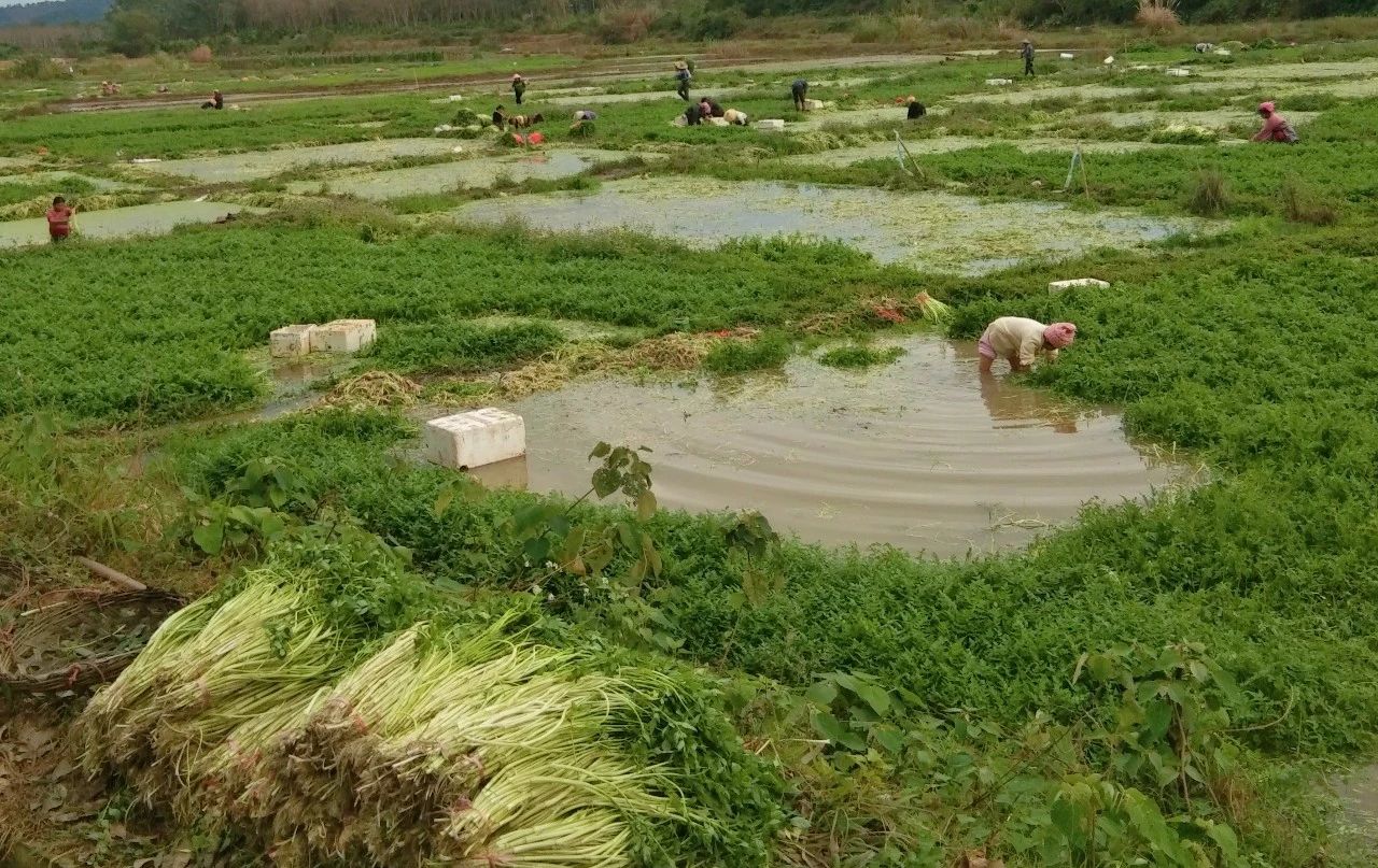 巅峰国际官网-追求康健,你我一起生长