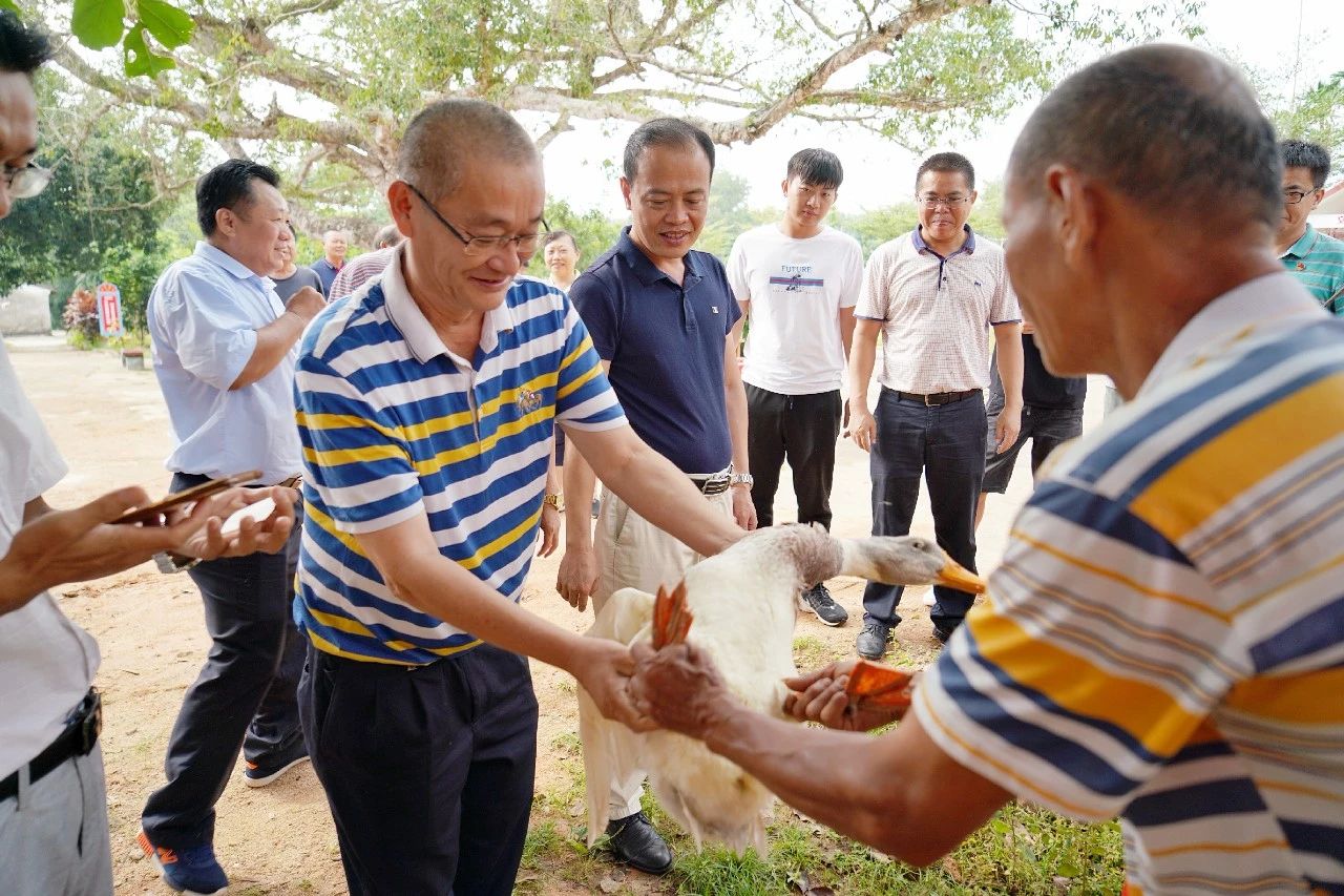 巅峰国际官网-追求康健,你我一起生长