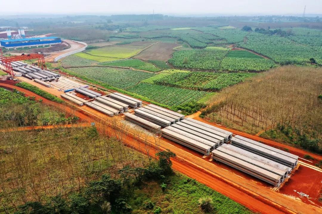 巅峰国际官网-追求康健,你我一起生长