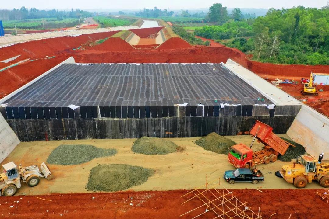 巅峰国际官网-追求康健,你我一起生长