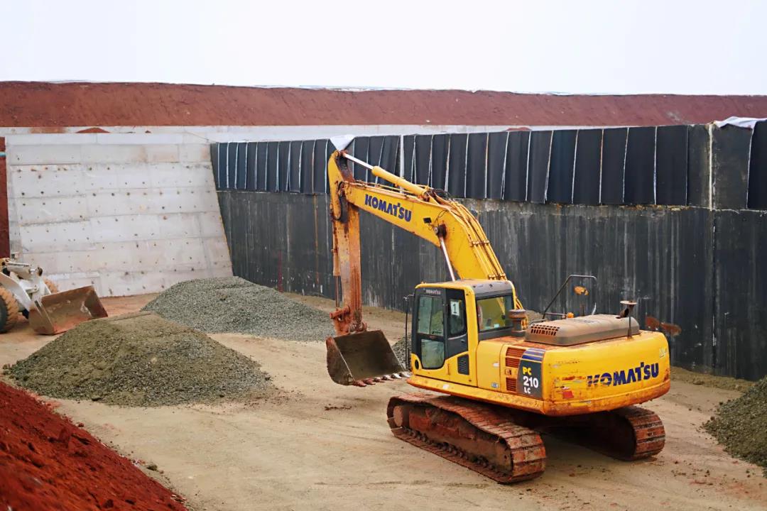 巅峰国际官网-追求康健,你我一起生长