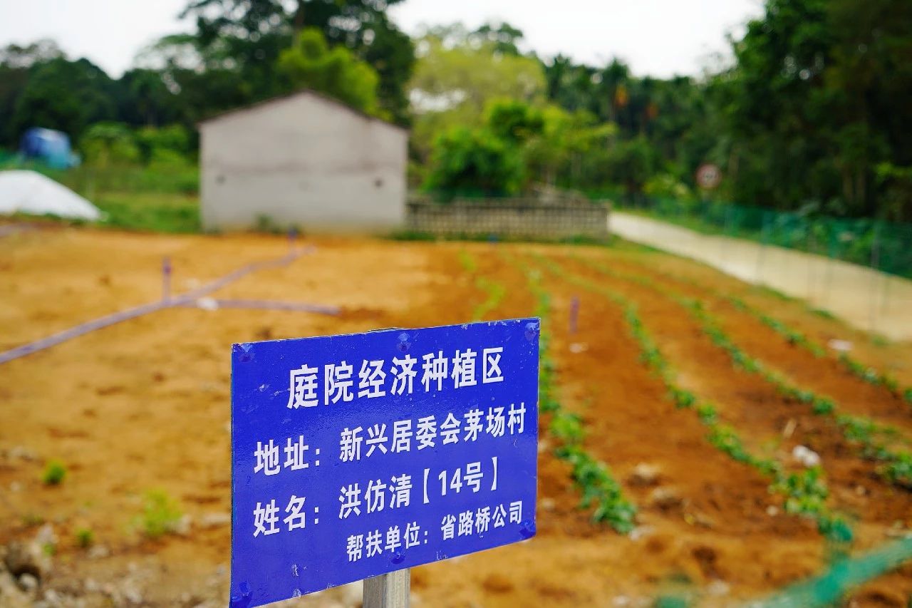 巅峰国际官网-追求康健,你我一起生长