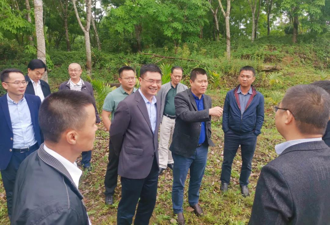 巅峰国际官网-追求康健,你我一起生长