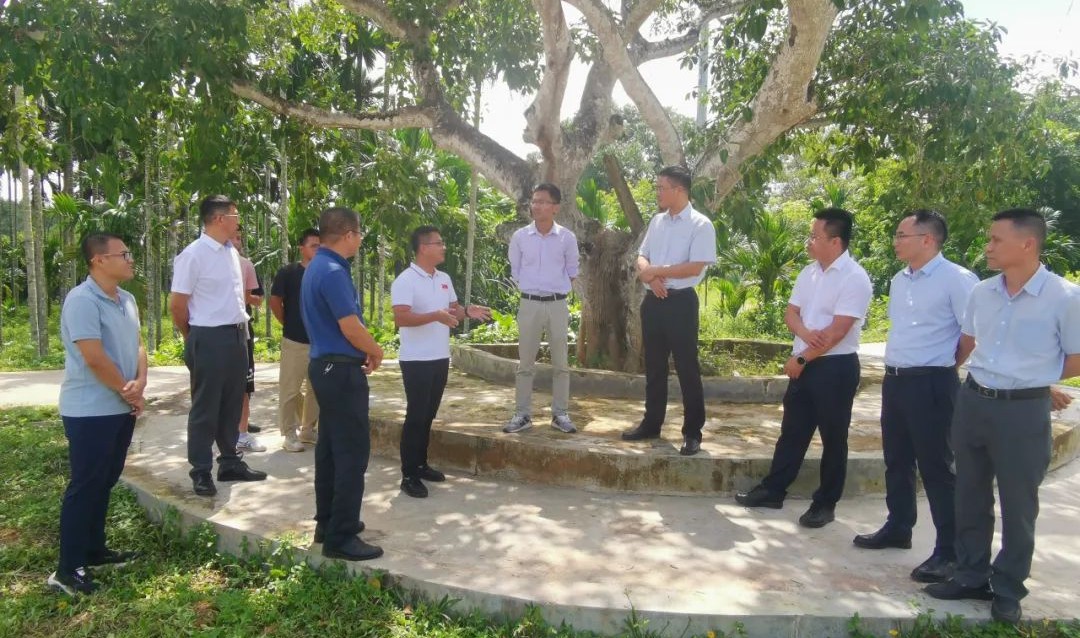 巅峰国际官网-追求康健,你我一起生长