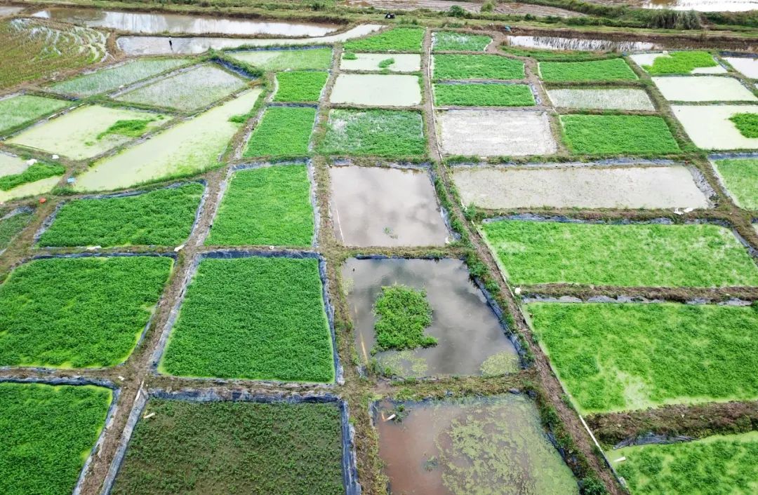 巅峰国际官网-追求康健,你我一起生长