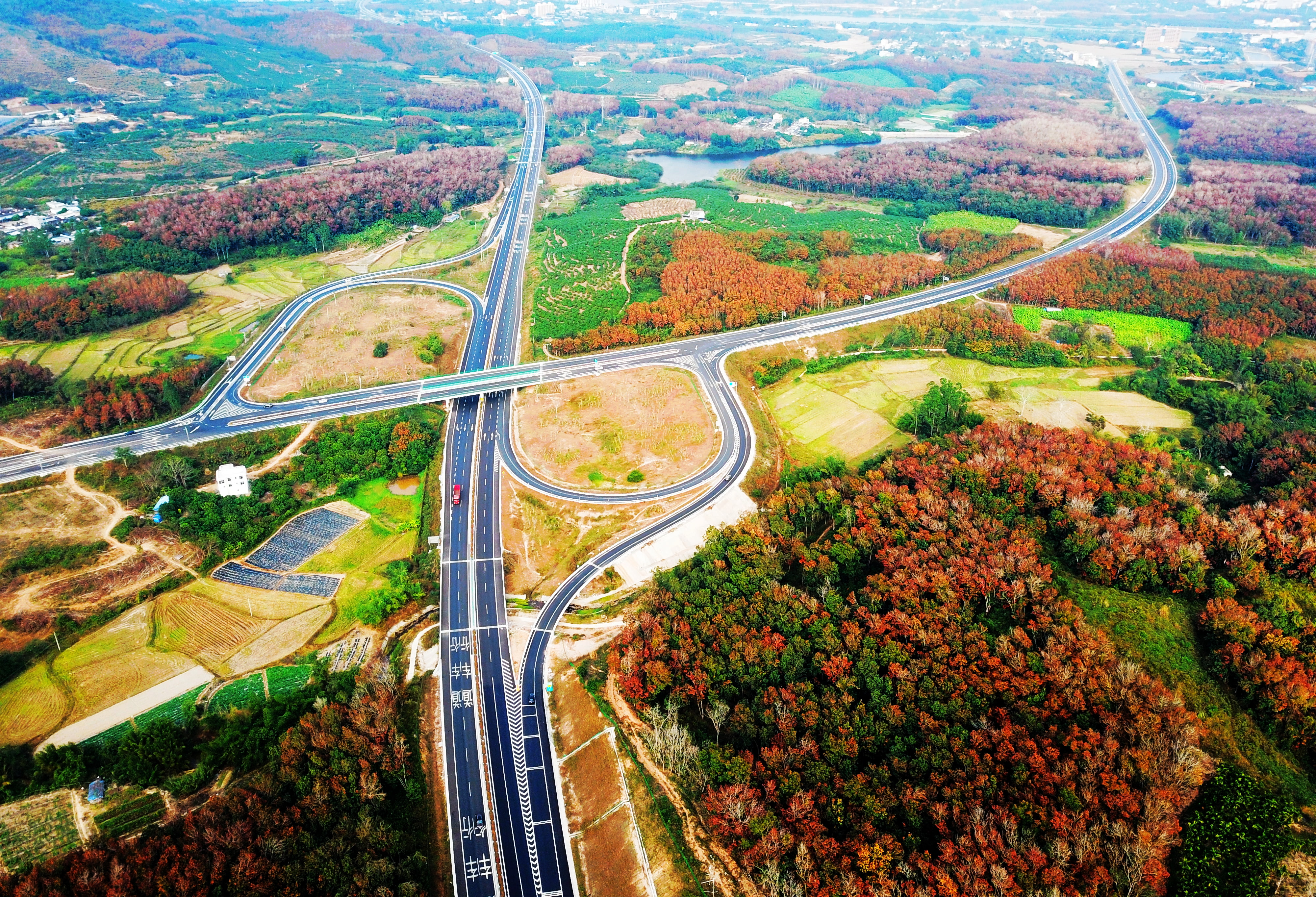 巅峰国际官网-追求康健,你我一起生长